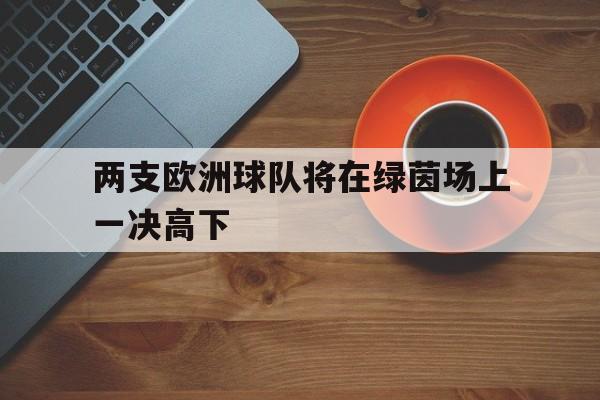 两支欧洲球队将在绿茵场上一决高下的简单介绍